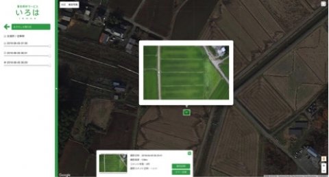 ドローンの画像から葉色解析するクラウドサービス「いろは」リリース