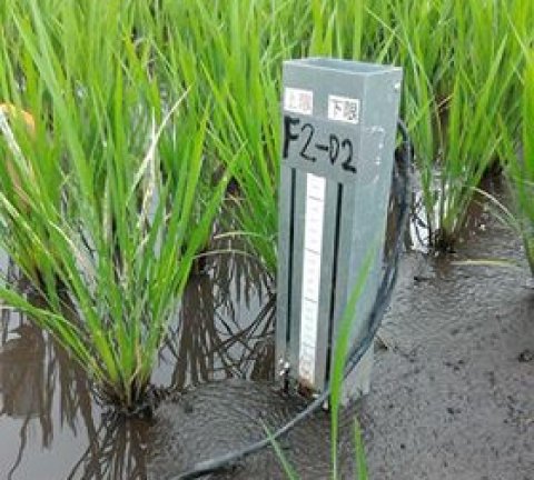 農家目線で開発された開水路用の自動給水機の現地実証 〜横田農場の例