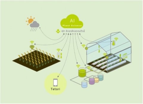 AIにより栽培方法や病害回避を助ける「e-kakashi」の連携アプリ2種類がリリース