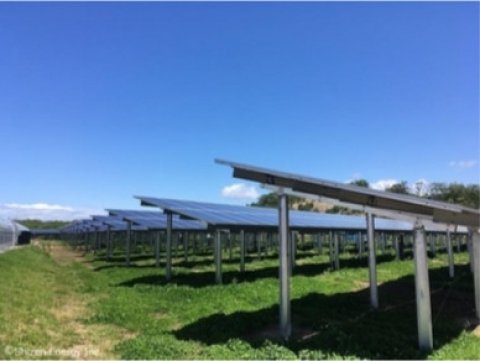 農業と発電事業を両立させるソーラーシェアリングメンテナンスサービスが登場