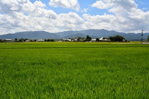 スマート農業で競争力を強化 九州に「スマート農業促進コンソーシアム」が設立