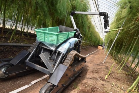 AI野菜収穫ロボットのinaho株式会社、佐賀県鹿島市に進出