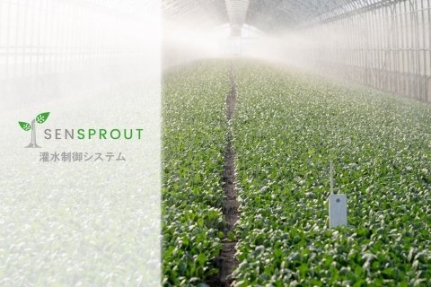 スマホでハウスの水やりを制御する「SenSprout 灌水制御システム」販売開始