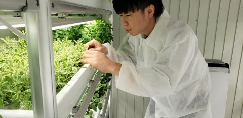 障がい者雇用支援サービス「IBUKI」、第6FARMをオープン