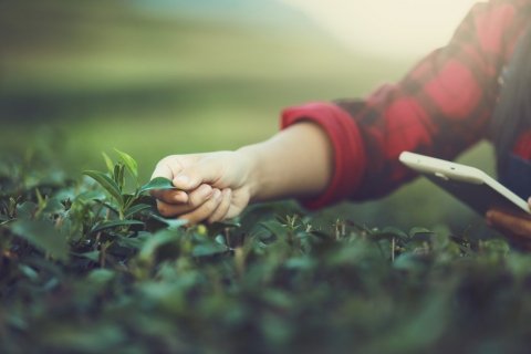 井関農機、4社の生育管理・診断サービスの取り扱いを開始