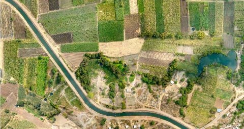 テラドローン、インド州政府の依頼でドローン測量 農地課題解決に貢献