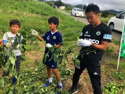 Jリーグ加盟チームの松本山雅FC、地域の社会連携「種まき」活動で農業課題に挑む