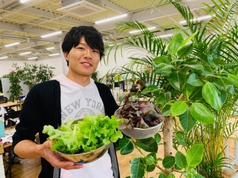 宮崎県新富町で、AIやIoTを活用したいちごの観光農園プロジェクトがスタート