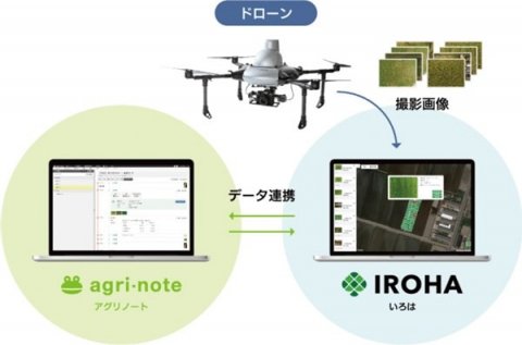 ドローンによる生育状況を営農管理サービスに紐付け 「いろは」と「アグリノート」が連携