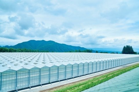 NTT初の農業×ICT専業会社「NTTアグリテクノロジー」とサラダボウルが協業