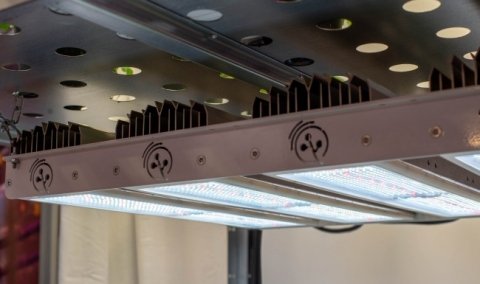 園芸用スマートLED照明の「ヘリオスペクトラ社」が日本法人を設立、アジア圏への進出を狙う