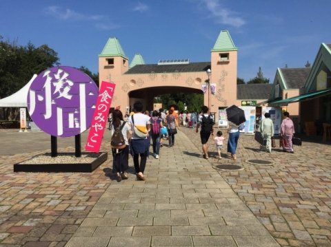 道の駅「丹後王国」と地元企業が連携、京野菜や果物の営業・販促を相互支援