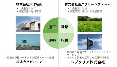 大麦若葉の栽培〜収穫・加工を最適化 4社共同でスマート農業実証プロジェクトがスタート