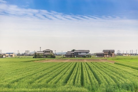 「九州ブロック版スマート農業サミット」8月23日に開催 ロボット茶摘み機やラジコン草刈機体験も