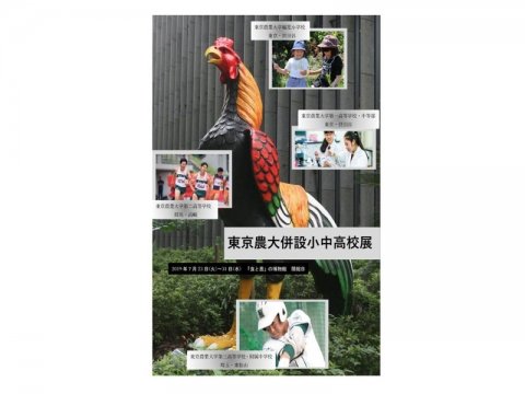東京農大「食と農」の博物館で、新企画 「東京農大併設小中高校展」を7月23日から開催