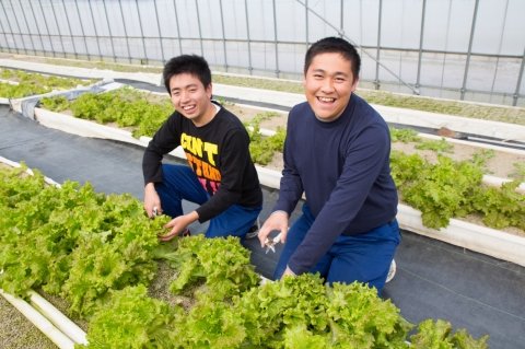 新京成電鉄が協力 「ソーシャルファーム わーくはぴねす農園 八千代」が2019年9月に開園
