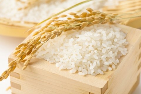 米穀店も稲作経営を始める時代【窪田新之助の農業コラム】