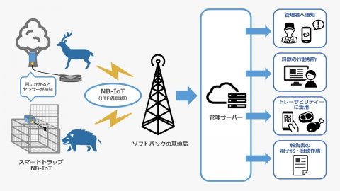 捕獲時にリアルタイムで通知する鳥獣罠センサー「スマートトラップNB-IoT」、長野県伊那市で実証事業スタート