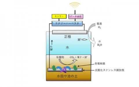 農業にも活用できる「微生物燃料電池システム」、農研機構と旭化成エレクトロニクスが開発