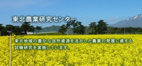 スマート畜産で地域振興を「農研機構マッチングフォーラム in 東北」いわて県民情報交流センターにて