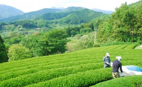 ”地域産品に新たな価値を”「ふるさとサプリ®」地域創生フォーラムで新たな取り組みを紹介