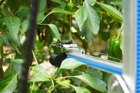 スマート農業ベンチャー「AGRIST」、農産物のAI自動収穫ロボットを開発
