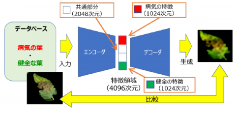 農研機構、農作物の病害虫判断の根拠を可視化できるAIを開発