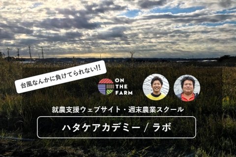 オンザファーム、社会人向け農業学校「ハタケアカデミー」と就農支援サイト「ハタケアカデミーラボ」開設