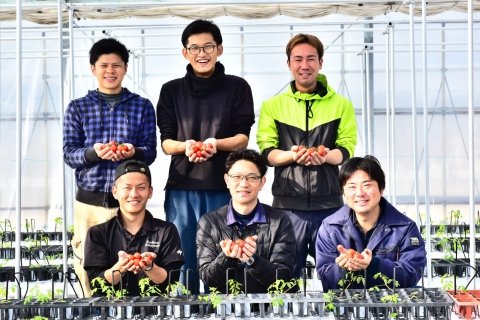 「平均糖度9.46・可販果率95%の高糖度トマト」Happy Qualityと静岡大学の共同研究で生産