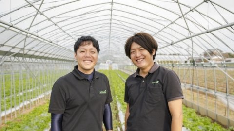 コロナ余波で困る農家に農作業人材をマッチングする「農How」のアグリトリオが独立