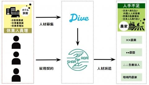 新型コロナで観光業の人材を農業に 人材サービスのシェアグリとダイブが提携