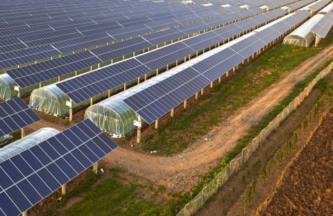 農業における「ソーラーシェアリング」とは 農業・エネルギー双方の課題解決のための期待
