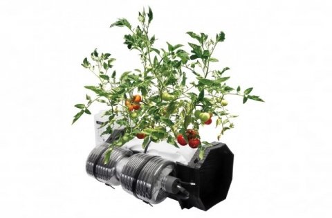 電源・機械なしの自動栽培システム「SoBiCオーガニックプランター」新モデルが販売開始