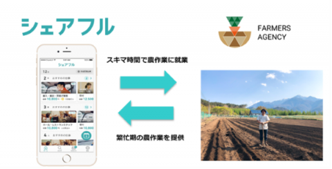 短時間雇用マッチングアプリ「シェアフル」が山梨県の農業課題に協力