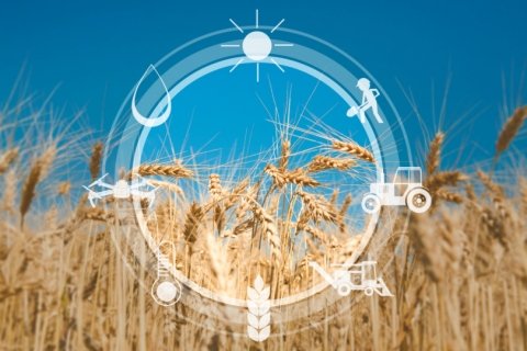 人工衛星によるセンシングで変わる、小麦の収穫【コメより小麦の時代へ 第6回】