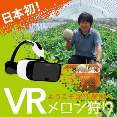 日本初のVR収穫体験サービス「VRメロン狩り」、鉾田市の深作農園がリリース
