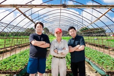 障がい者就労支援といちご農家が課題解決に向けてタッグ 農業法人「ONE GO」設立