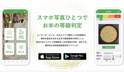 スカイマティクス、AIを活用したコメの等級判定アプリ「らいす」をリリース