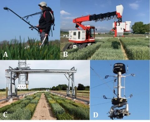 東京大学、約19万に及ぶ小麦の穂画像「Global Wheat Head Detectionデータセット」を発表