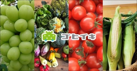 野菜通販サイト「ゴヒイキ」、農家から登録ユーザー2万人へ送れるメルマガサービス開始