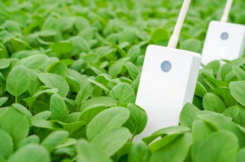 遠隔潅水制御を開発する「SenSprout（センスプラウト）」がNEDOの研究開発型支援事業に採択