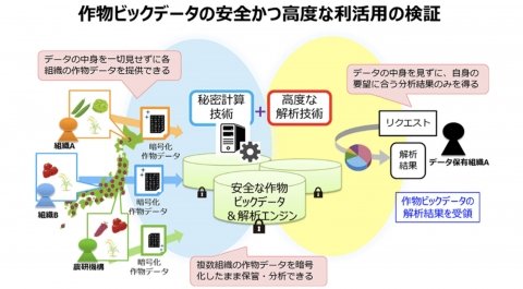NTTと農研機構、秘密計算技術で農作物データを相互利用する共同研究を開始