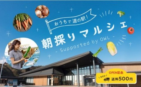 「おうちで道の駅！朝採りマルシェ」が産直サイト「OWL」に期間限定でオープン