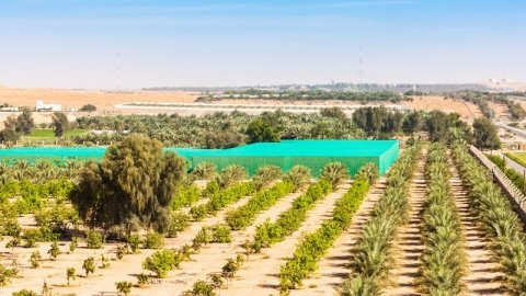アブダビ首長国、世界の食糧問題の解決を推進する「アグテックエコシステム事業」をスタート