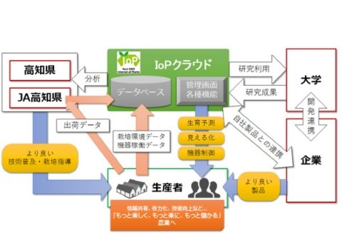 産官学が連携して生育予測や流通を管理する「IoPクラウド」が高知県でスタート