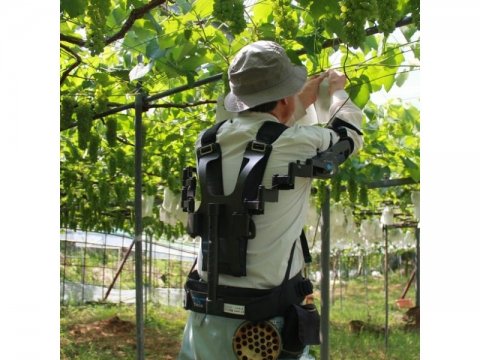 腕上げ作業専用のアシストスーツ「TASK AR2.0」の農業者向けレンタルが開始
