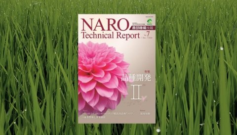 「農研機構技報（NARO Technical Report）」第7号発行 特集は「品種開発」の第2弾