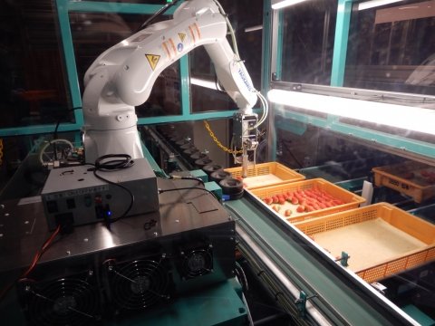 イチゴの選果・パック詰めロボットはどこまで人の代わりができるか