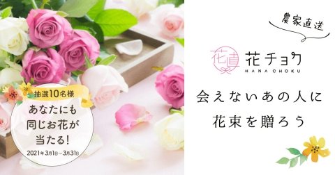 「食べチョク」運営のビビッドガーデンが「花チョク春のギフトキャンペーン」を実施中