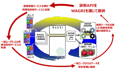 高精度のAI病虫害画像診断システムが「WAGRI」で提供開始